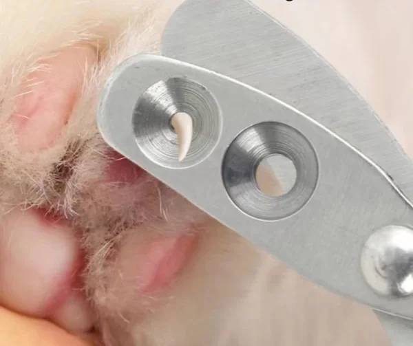 Coupe-griffes pro en inox pour chien – Image 2