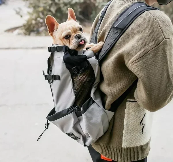 Sac à dos de transport pour chien