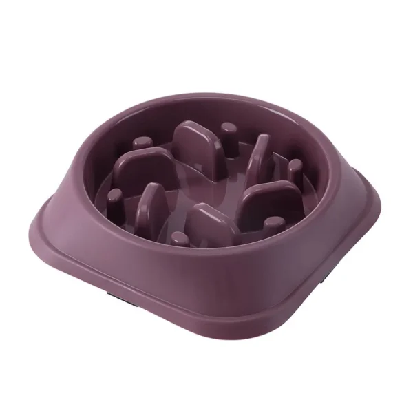 Gamelle anti-glouton pour chien – Image 5