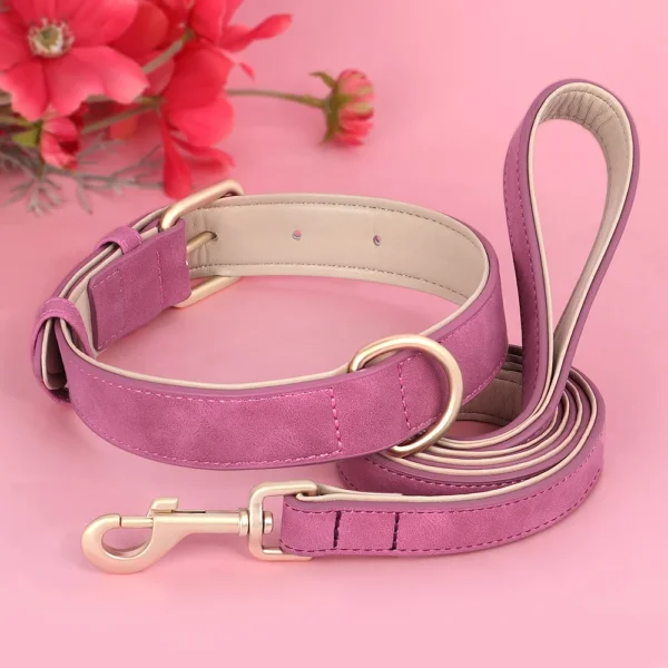 Set collier et laisse rembourrés en cuir PU – Image 7