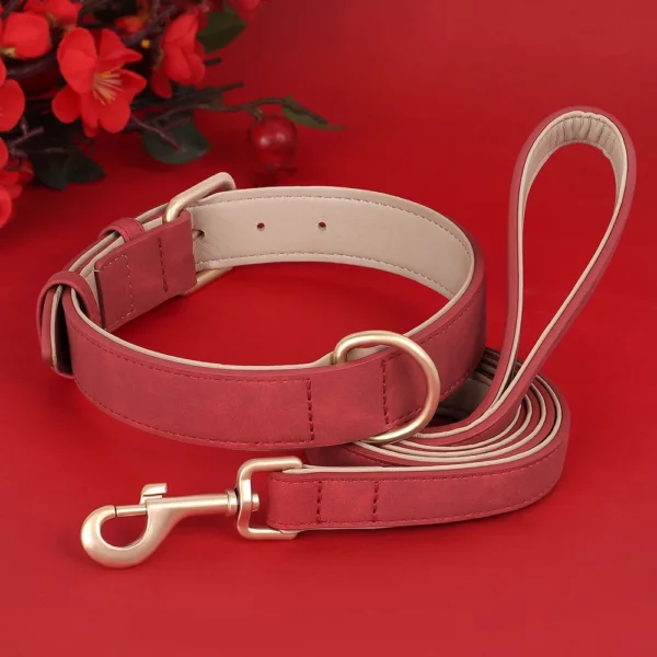 Set collier et laisse rembourrés en cuir PU – Image 4
