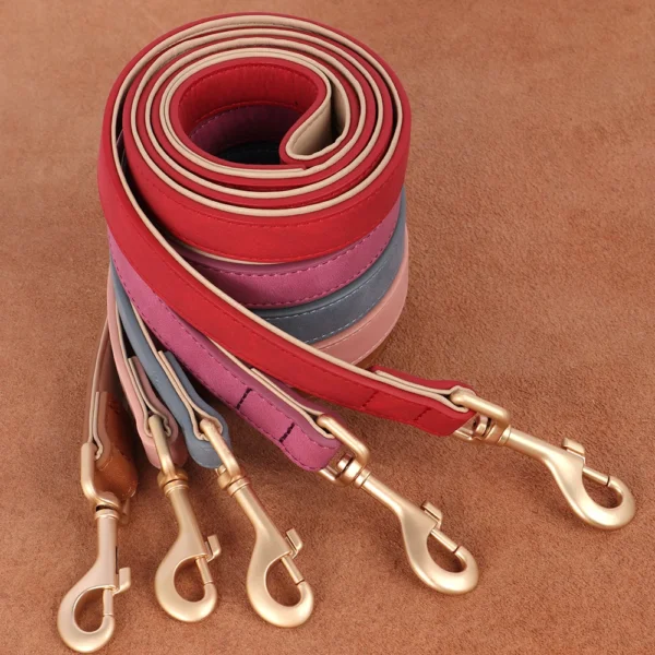 Set collier et laisse rembourrés en cuir PU – Image 2
