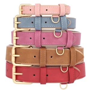 Set collier et laisse rembourrés en cuir PU