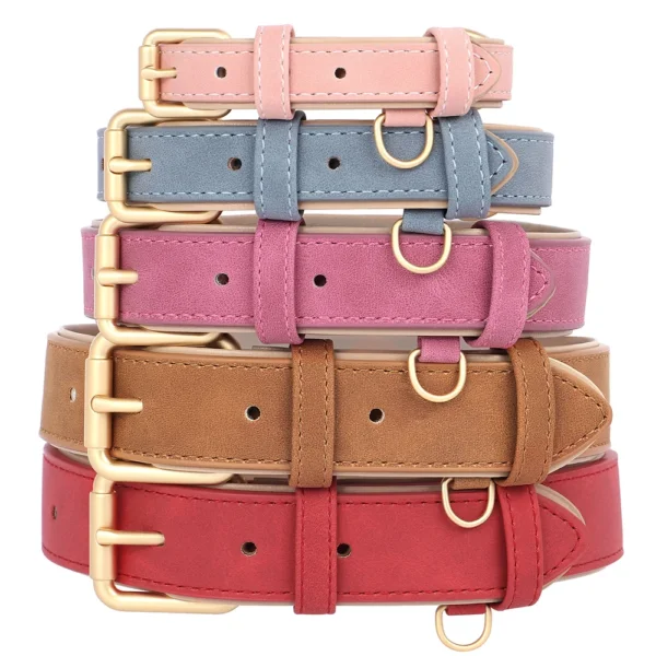 Set collier et laisse rembourrés en cuir PU
