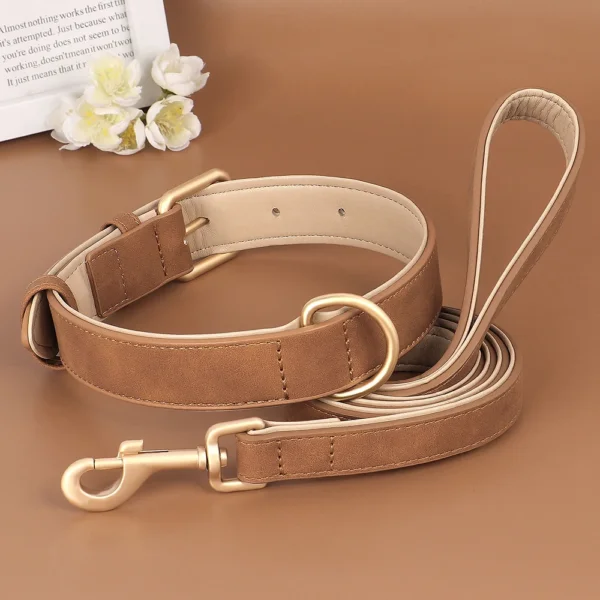 Set collier et laisse rembourrés en cuir PU – Image 5